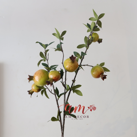  CÀNH QUẢ LỰU XANH 