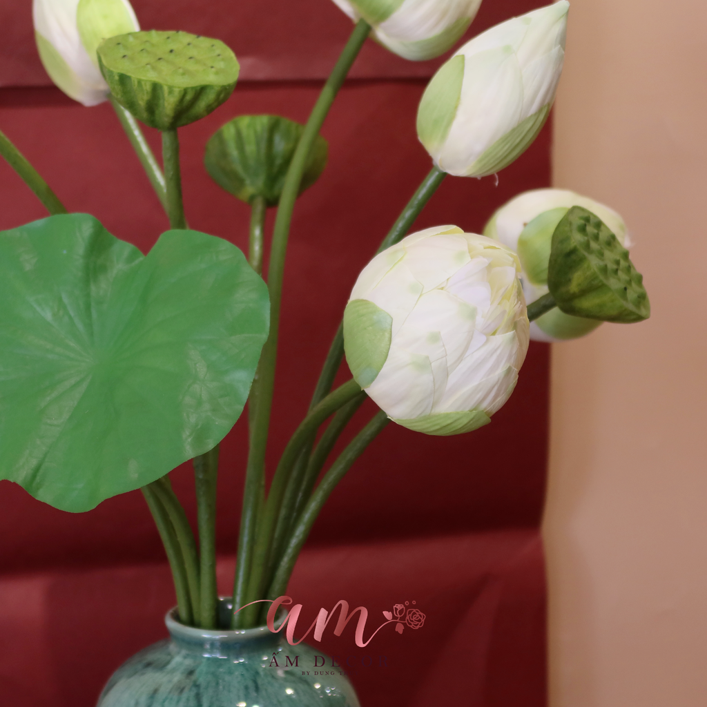 ZSEN THẤT BẠCH NHỊ LANG