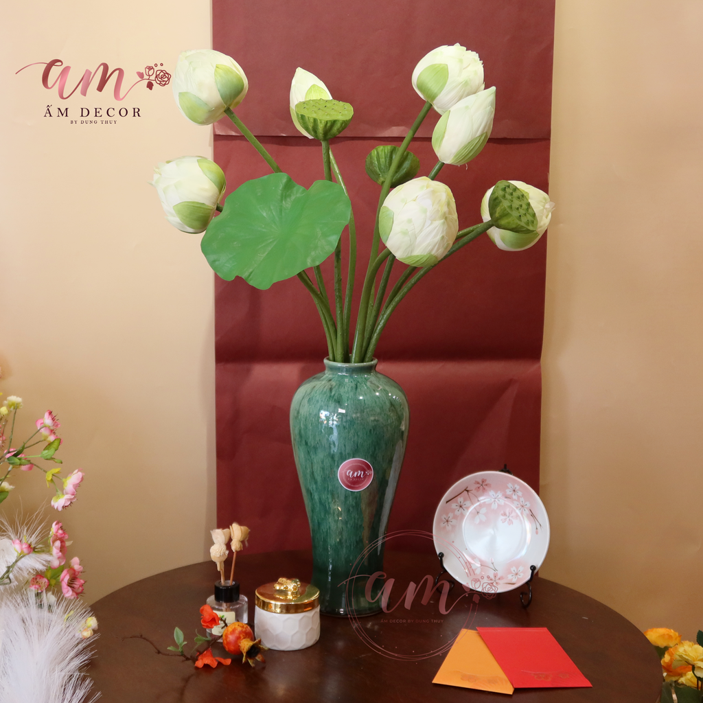 ZSEN THẤT BẠCH NHỊ LANG