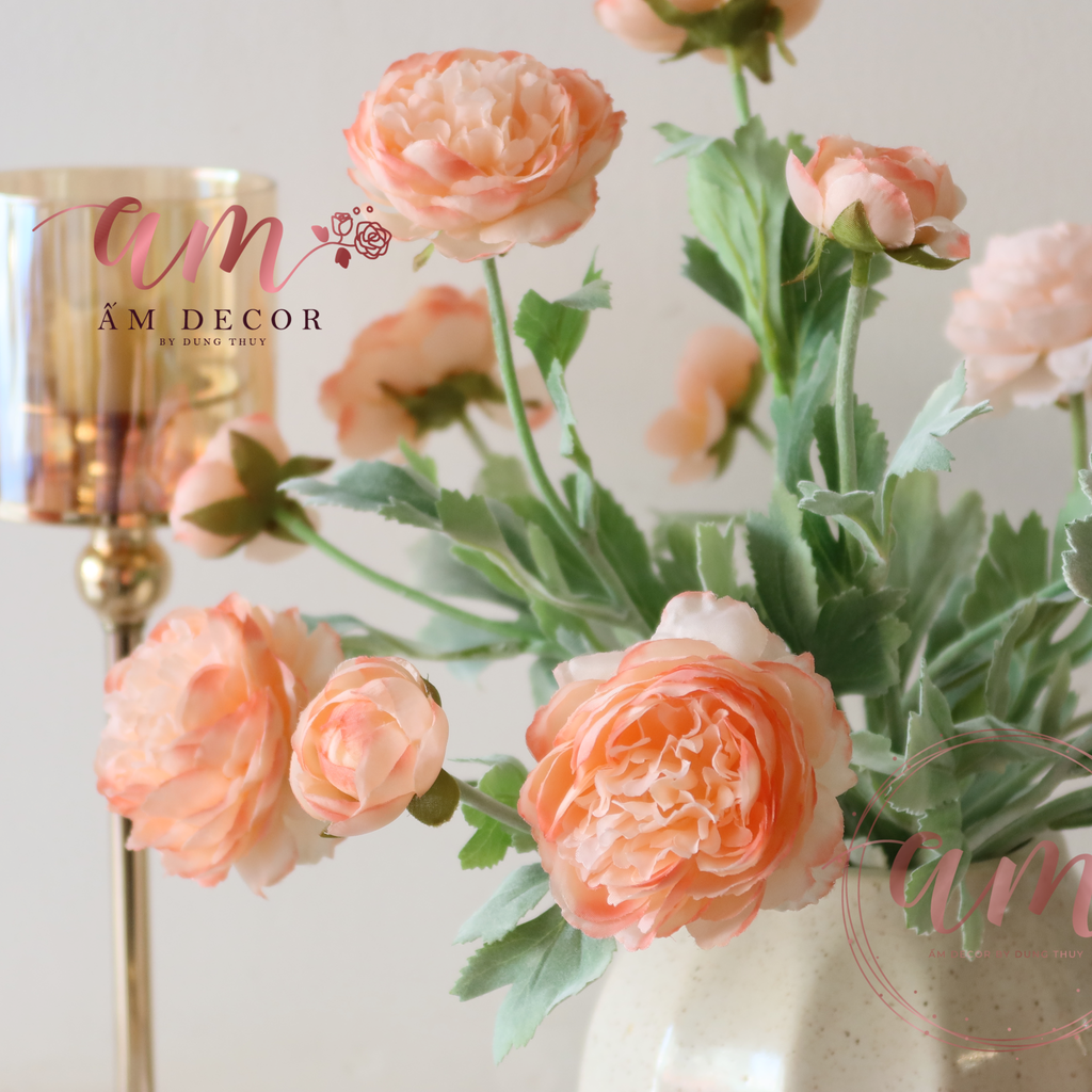 ZCANTALOUPE PEONY BABY