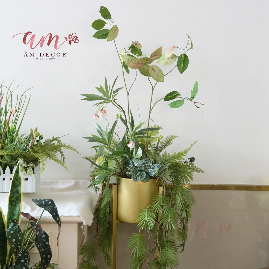 Ấm Plant House - CHẬU CÂY DECOR MIX