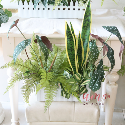  Ấm Plant House - DẢI CÂY XANH MIX 3 