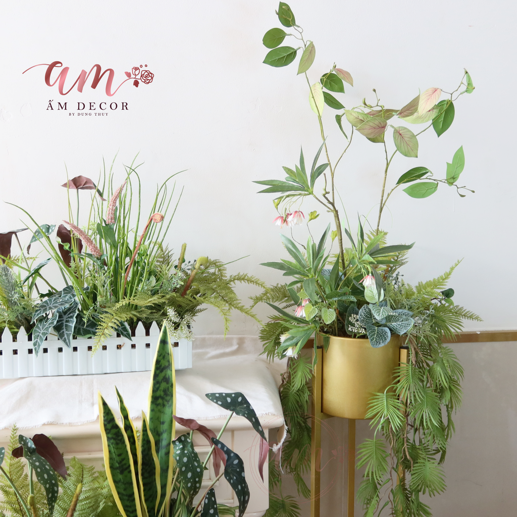 Ấm Plant House - CHẬU CÂY DECOR MIX