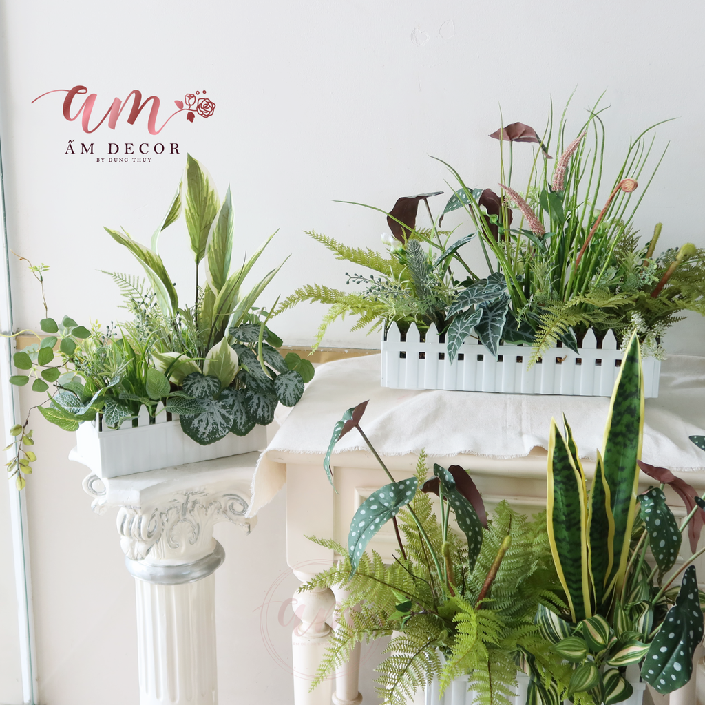 Ấm Plant House - DẢI CÂY XANH MIX 3