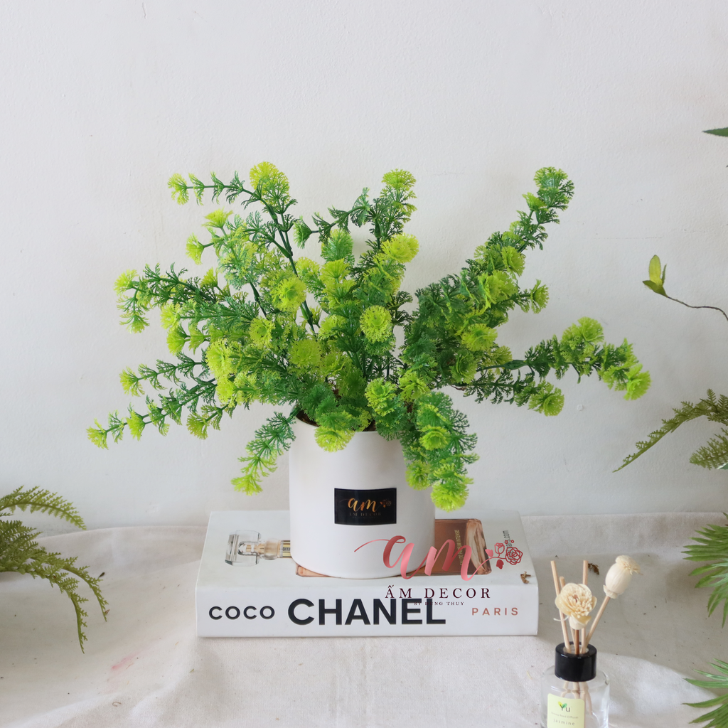 Ấm Plant House - RONG BIỂN
