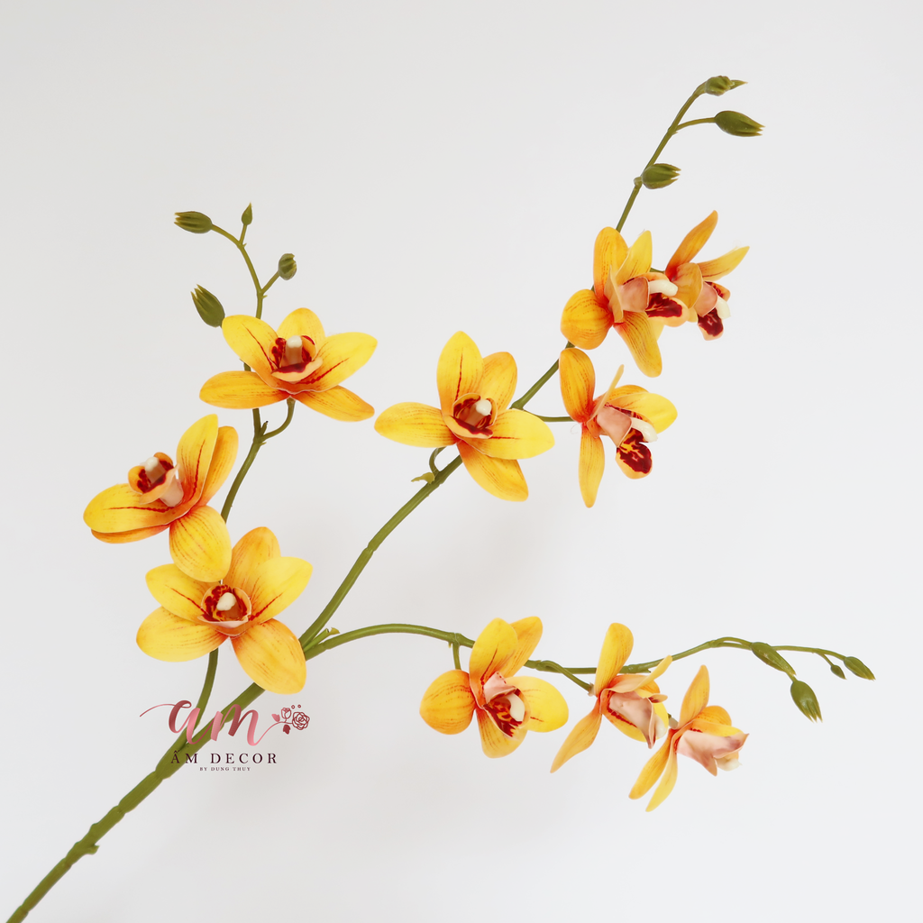 ZCÀNH PHONG LAN VÀNG