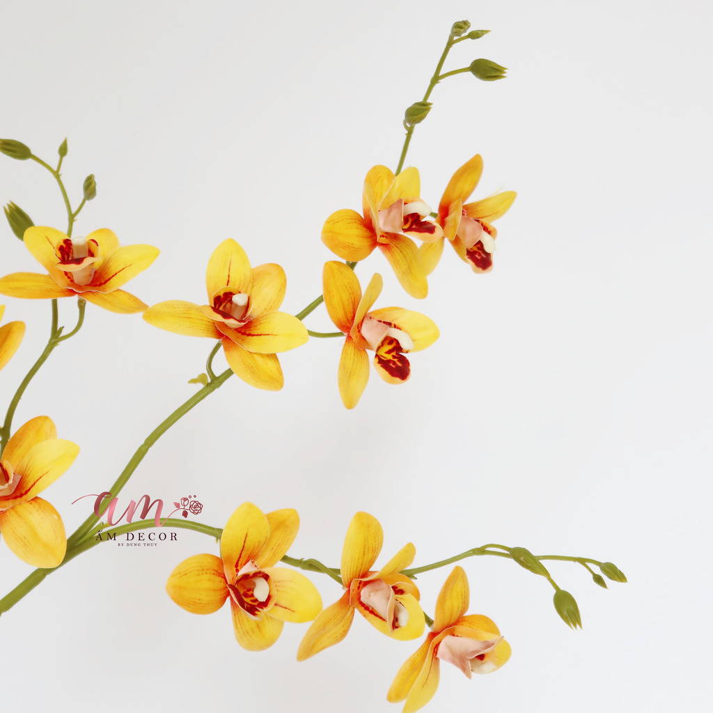 ZCÀNH PHONG LAN VÀNG