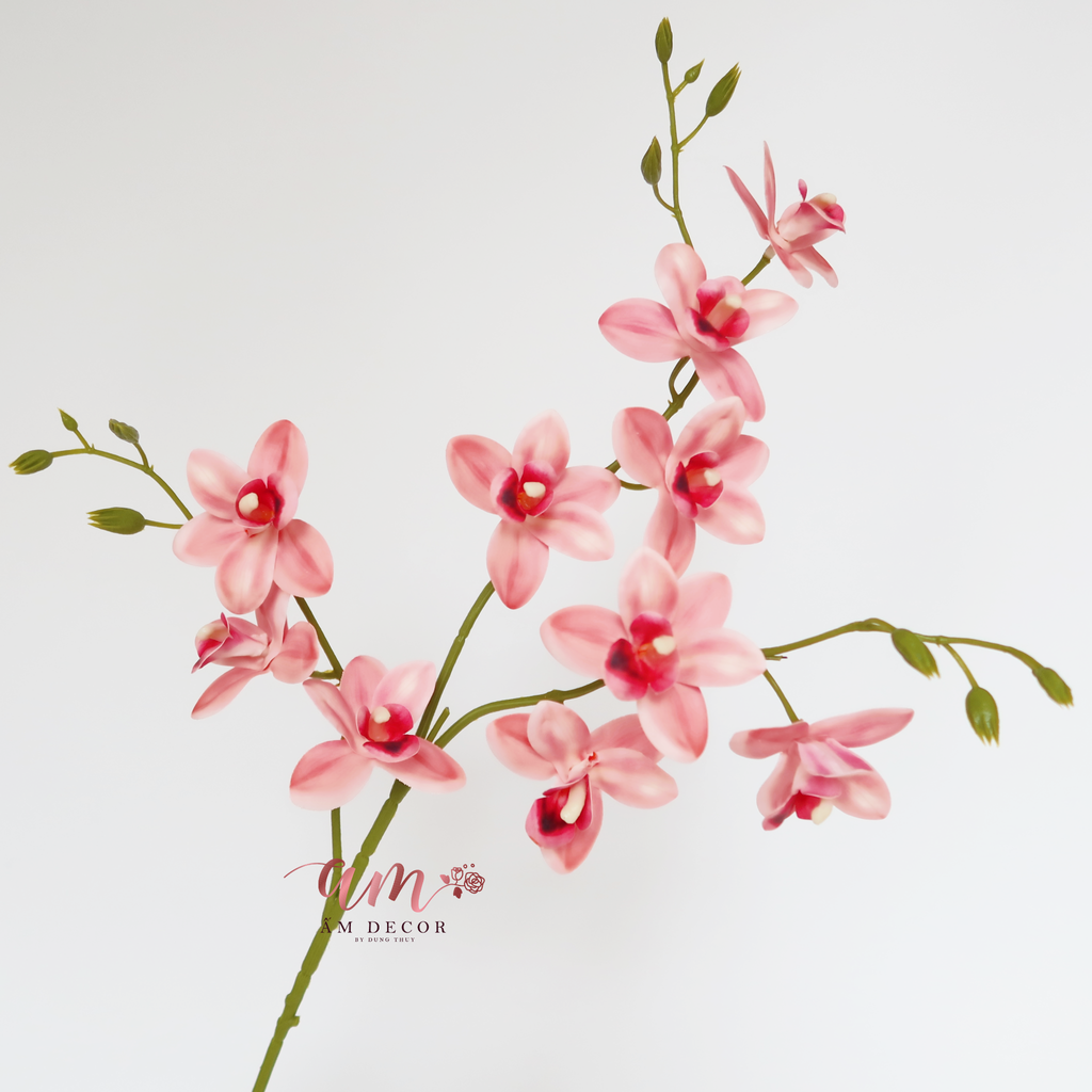 CÀNH PHONG LAN HỒNG