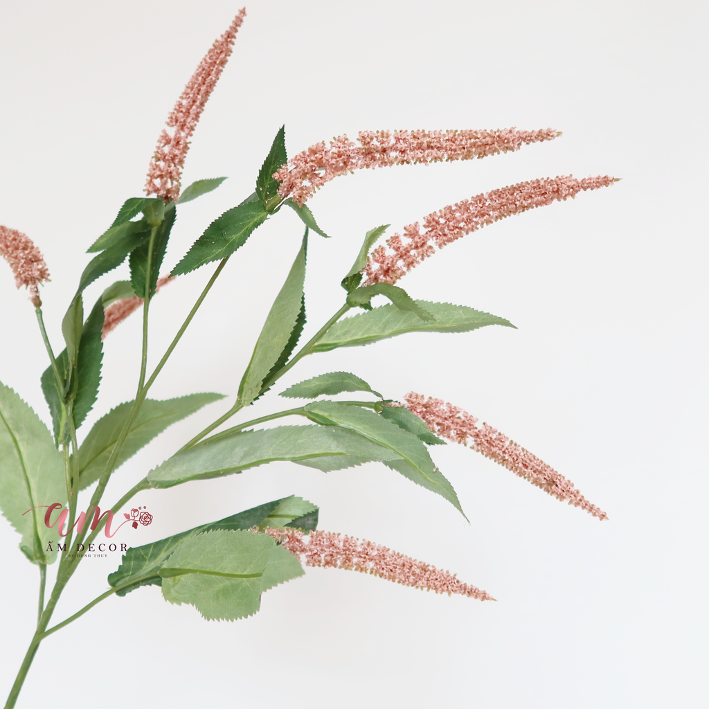 CÀNH OẢI HƯƠNG (Hồng)