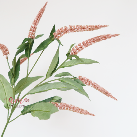  CÀNH OẢI HƯƠNG (Hồng) 