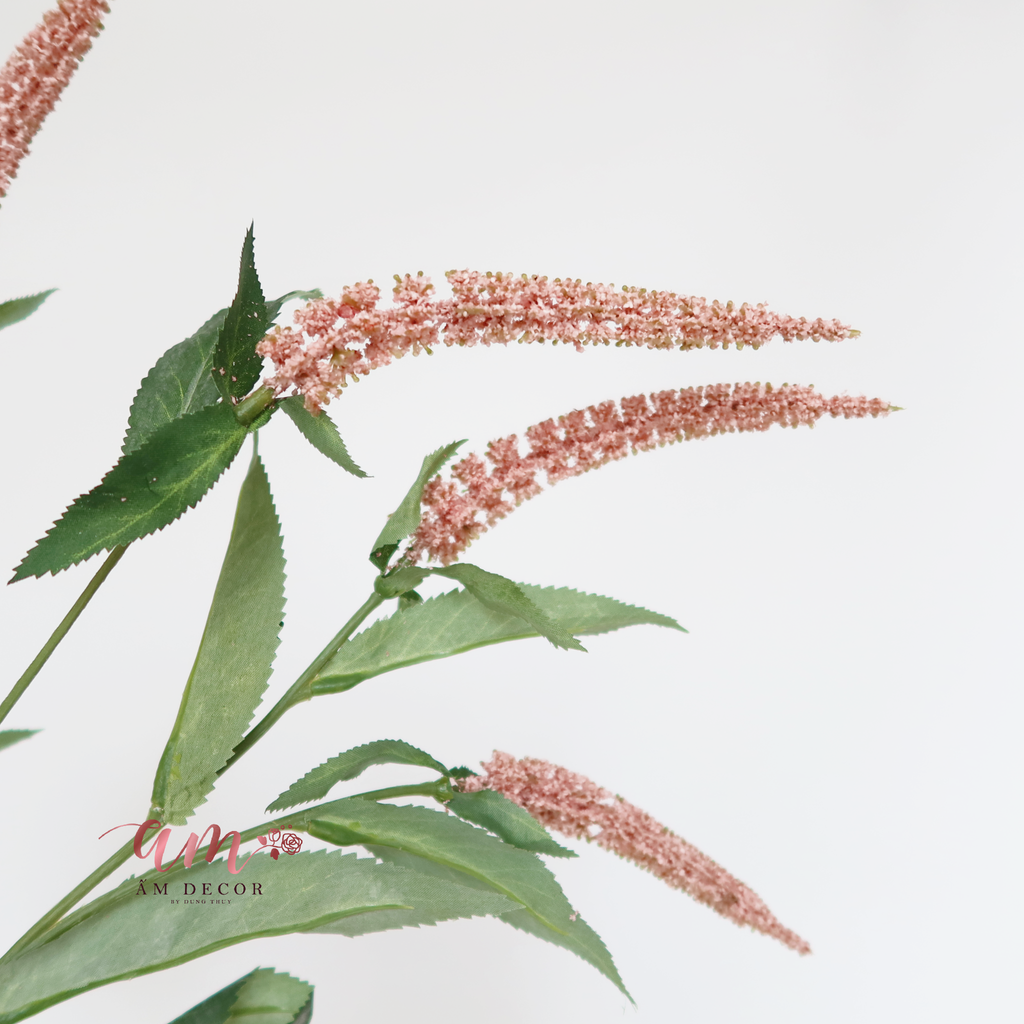 CÀNH OẢI HƯƠNG (Hồng)