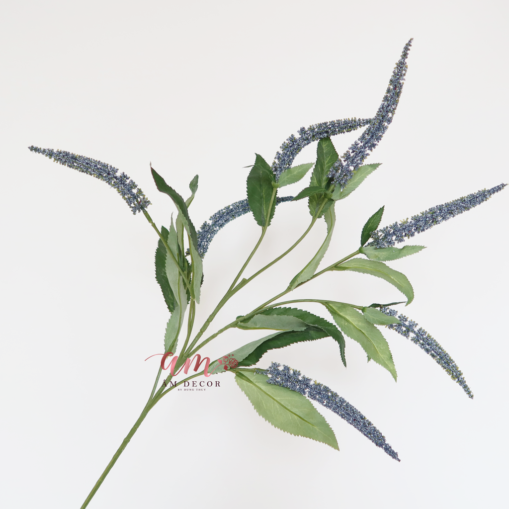 ZCÀNH OẢI HƯƠNG (Xanh Dương)