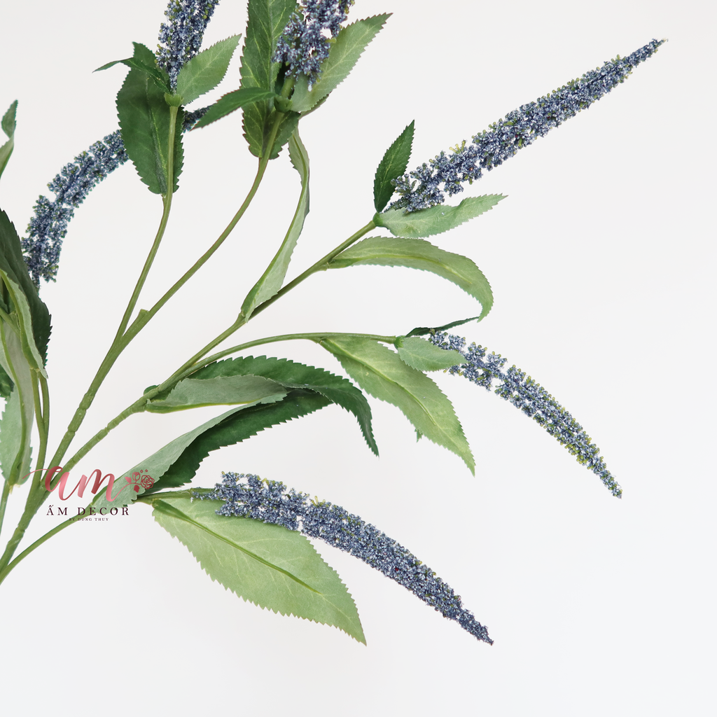 ZCÀNH OẢI HƯƠNG (Xanh Dương)