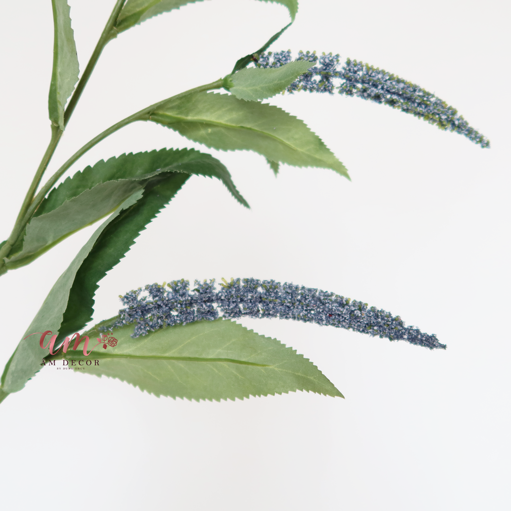 ZCÀNH OẢI HƯƠNG (Xanh Dương)