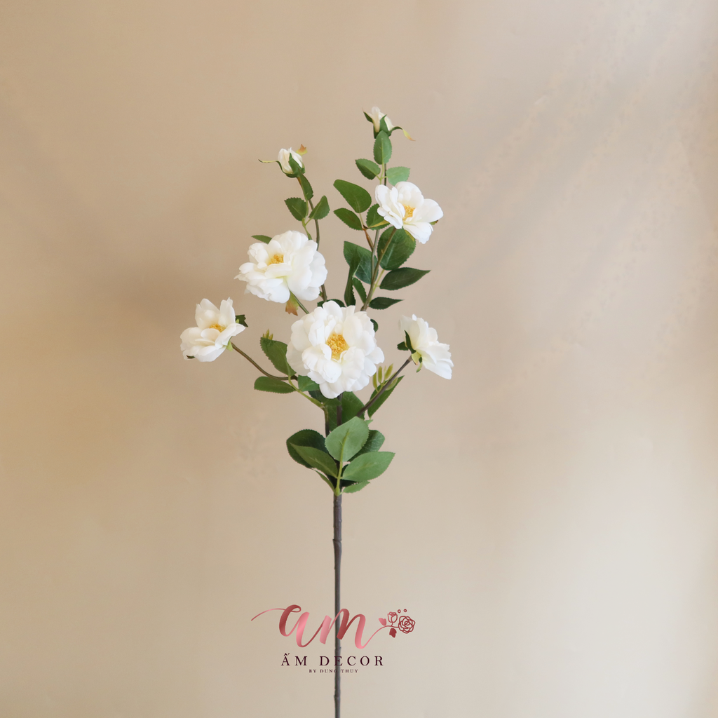 CÀNH HOA HỒNG NHÍ 5 CÁNH NỞ  (Trắng)