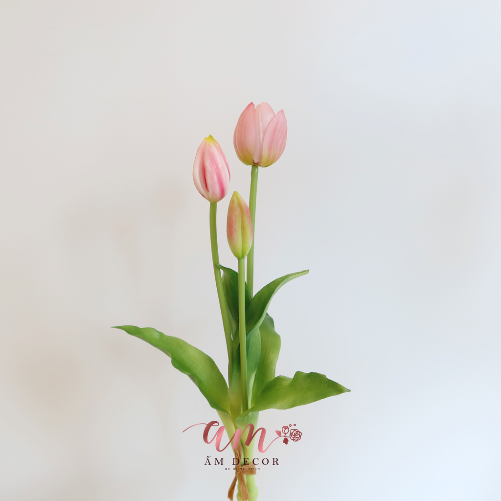 CHÙM HOA TULIP (Hồng)