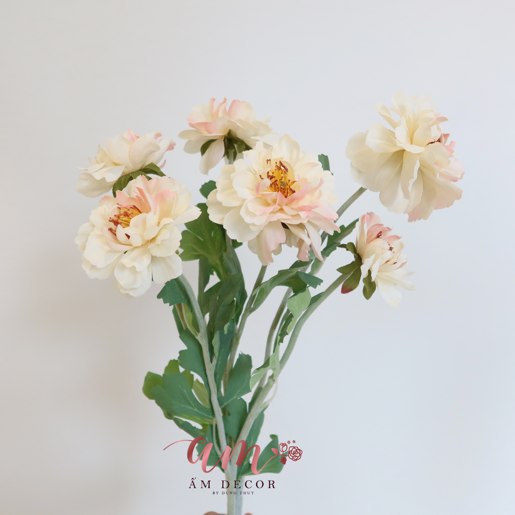 MẪU ĐƠN HOA NỞ XÒE (Kem)