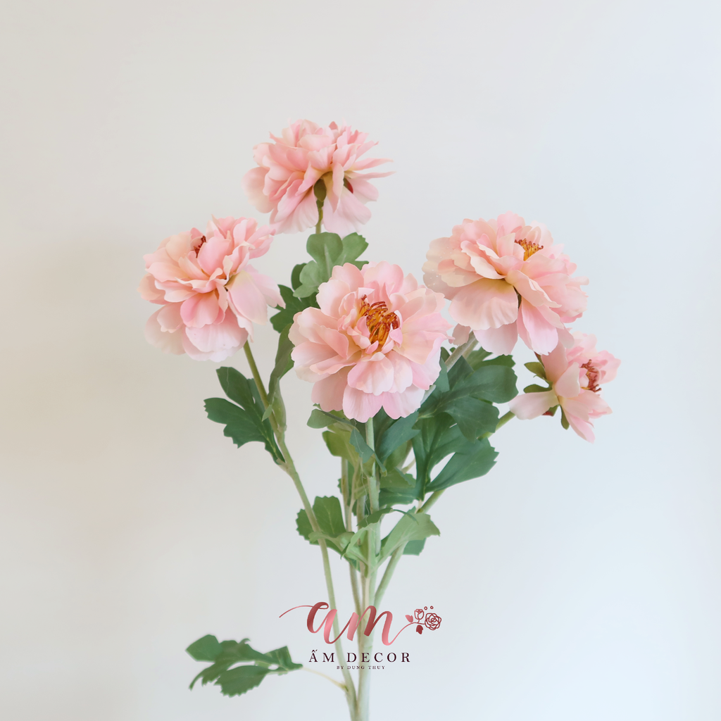 MẪU ĐƠN HOA NỞ XÒE (Hồng)