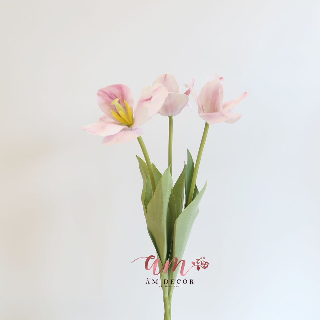 HOA TULIP LỤA NỞ (Hồng)