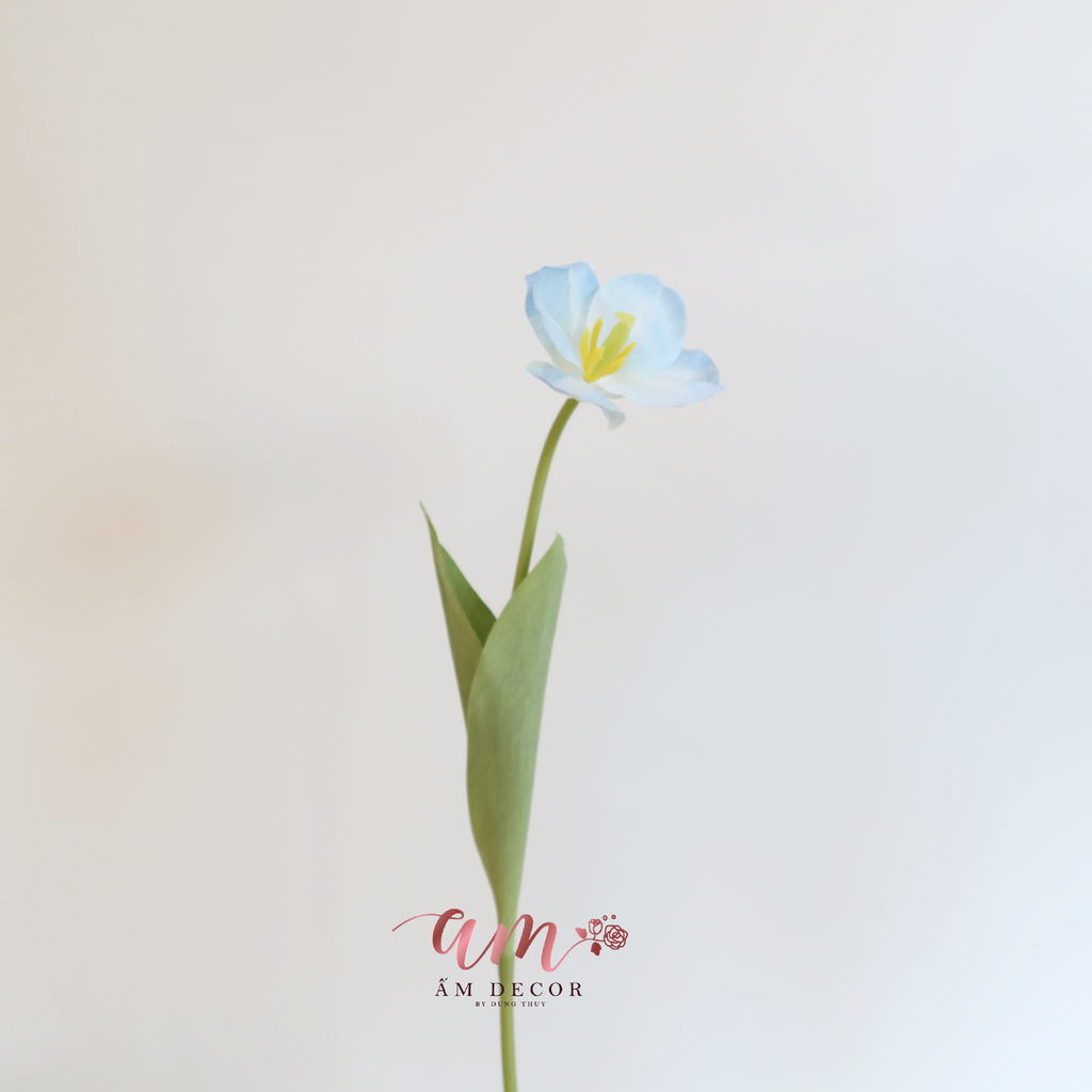 HOA TULIP LỤA NỞ (Xanh Dương)