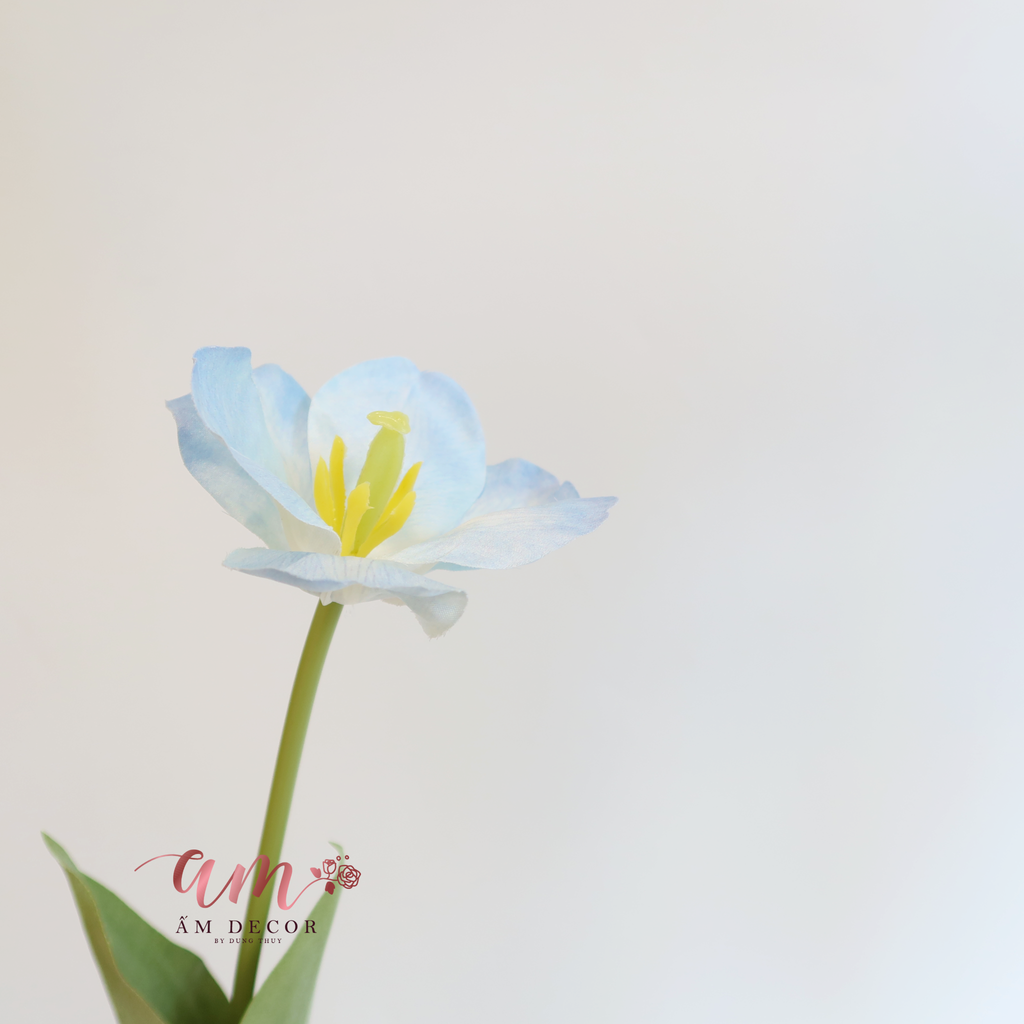 HOA TULIP LỤA NỞ (Xanh Dương)