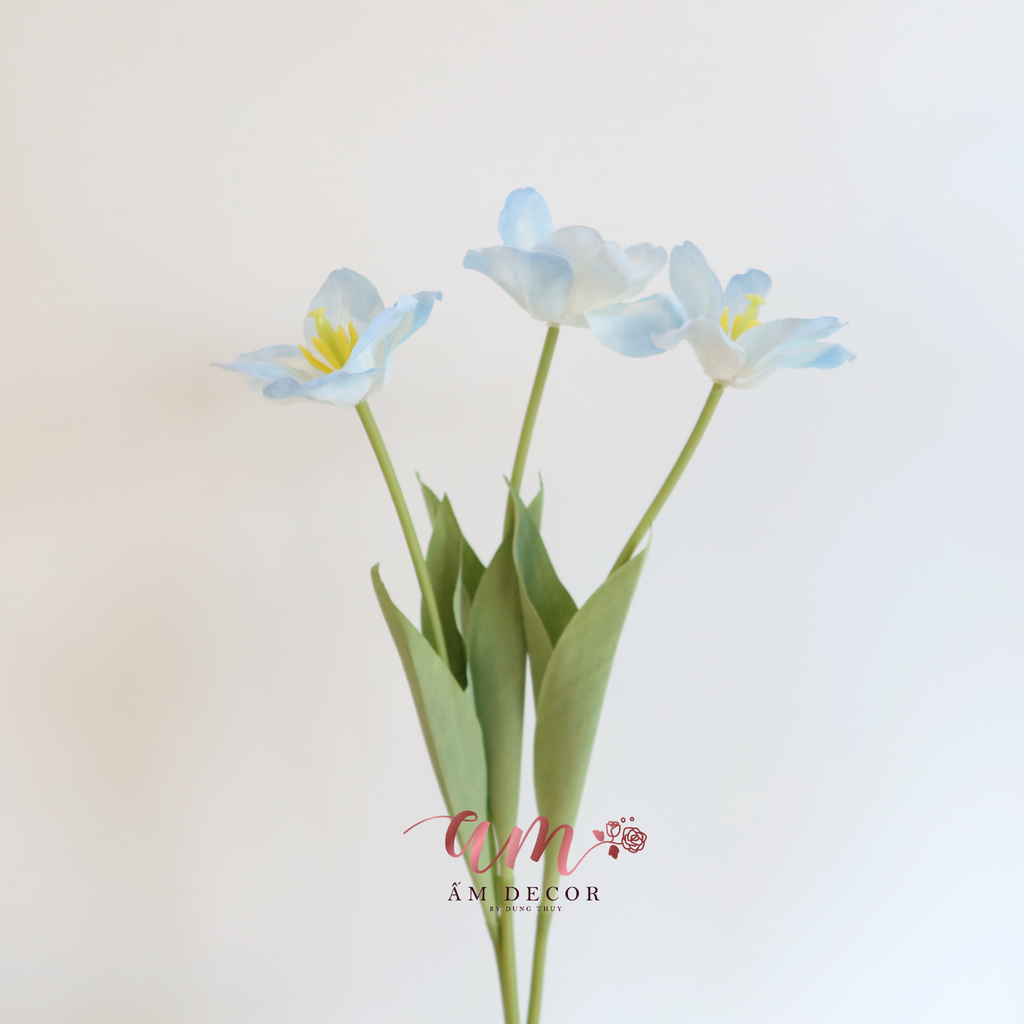 HOA TULIP LỤA NỞ (Xanh Dương)