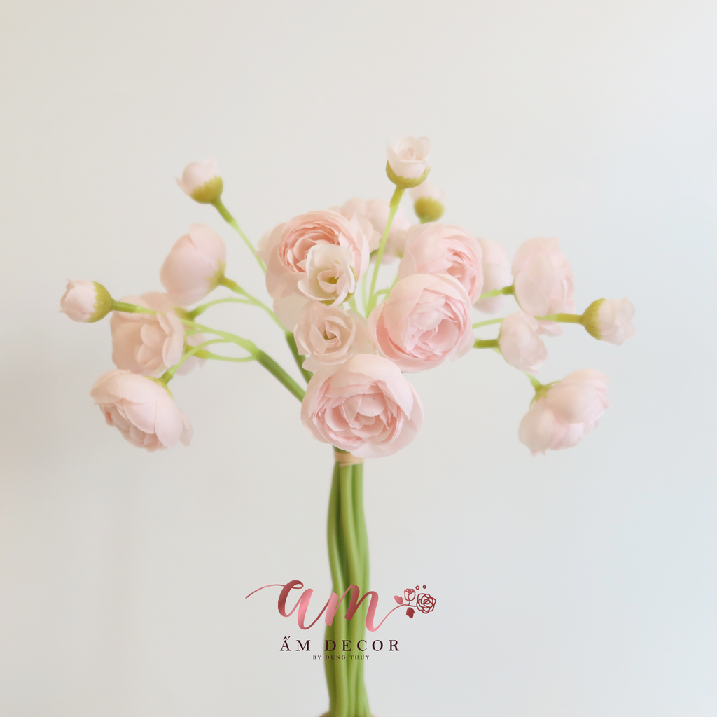 ZHOA TRÀ NHÍ (Hồng Pastel)