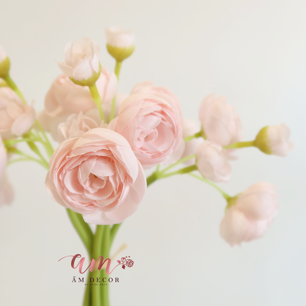 ZHOA TRÀ NHÍ (Hồng Pastel)