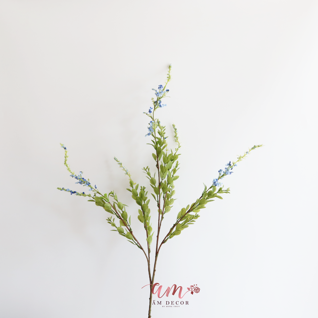 HOA VIOLET (XANH DƯƠNG)