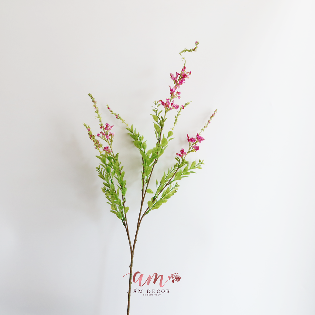 ZHOA XÔ THƠM HỒNG ĐẬM