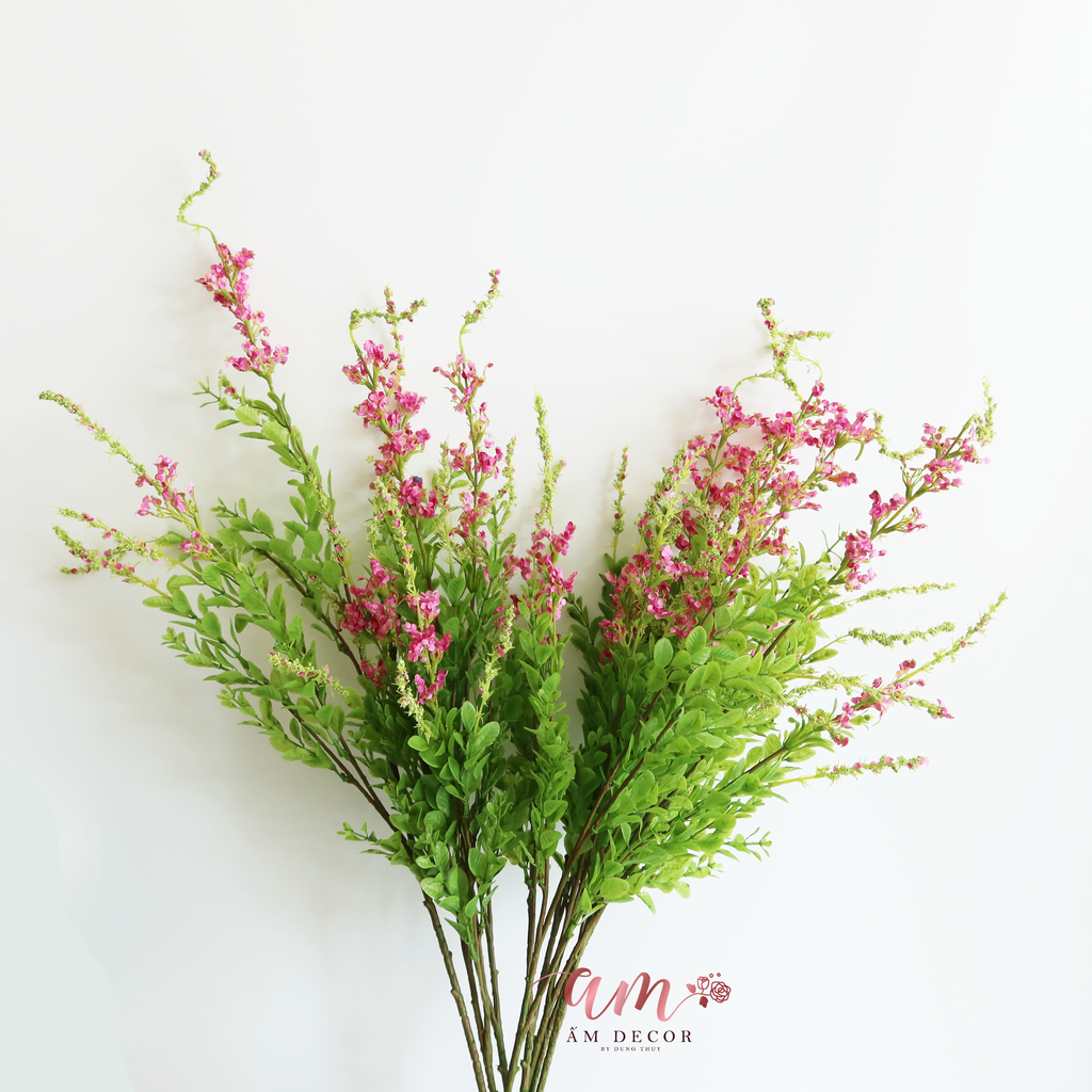 ZHOA XÔ THƠM HỒNG ĐẬM