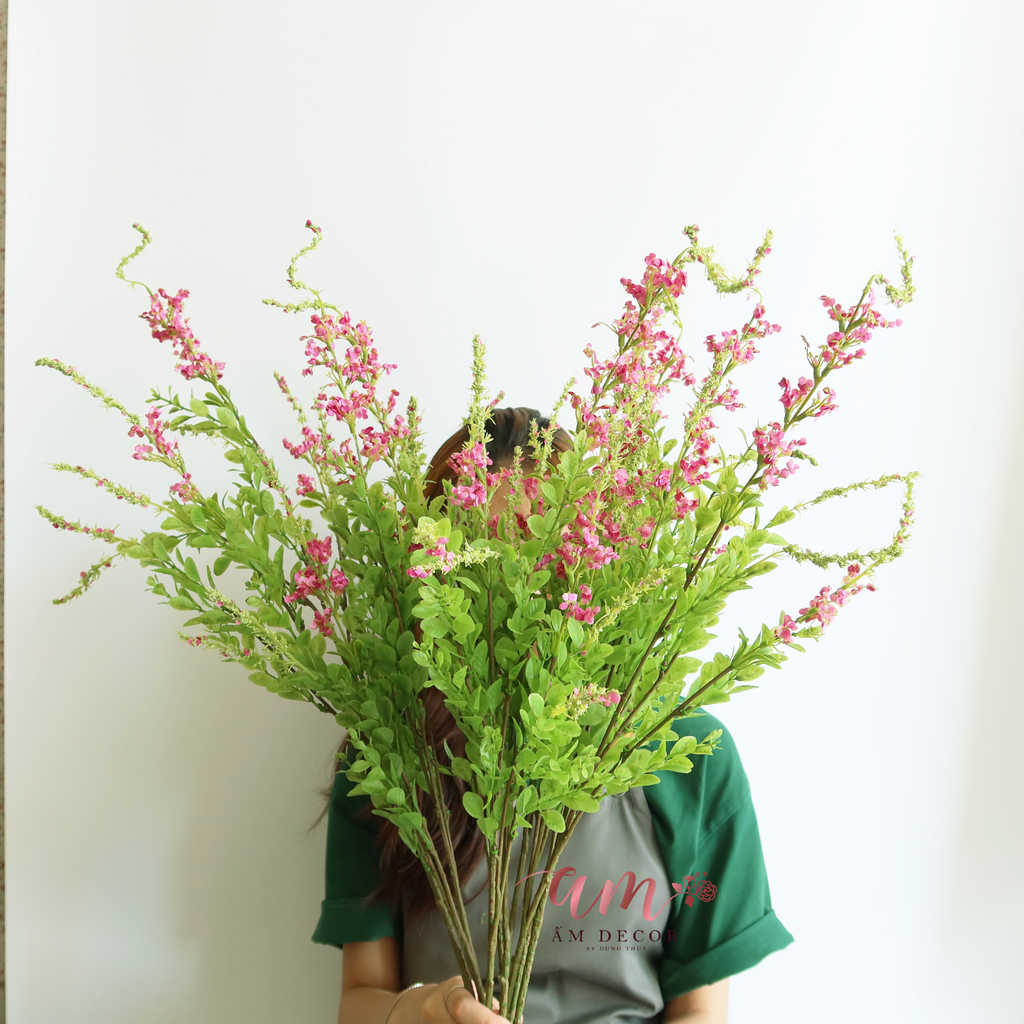 ZHOA XÔ THƠM HỒNG ĐẬM