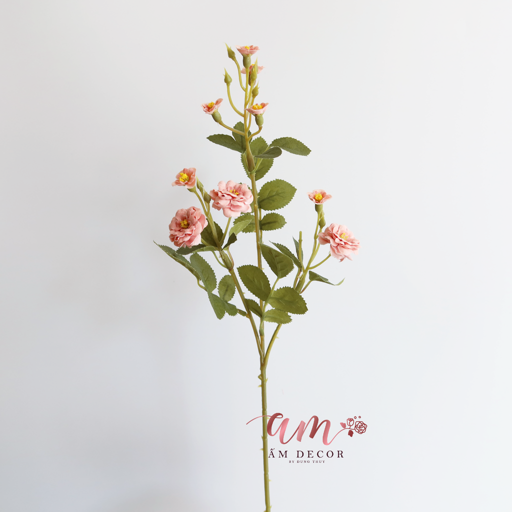 ZHOA NHÀI CÀNH NHỎ HỒNG NHẠT