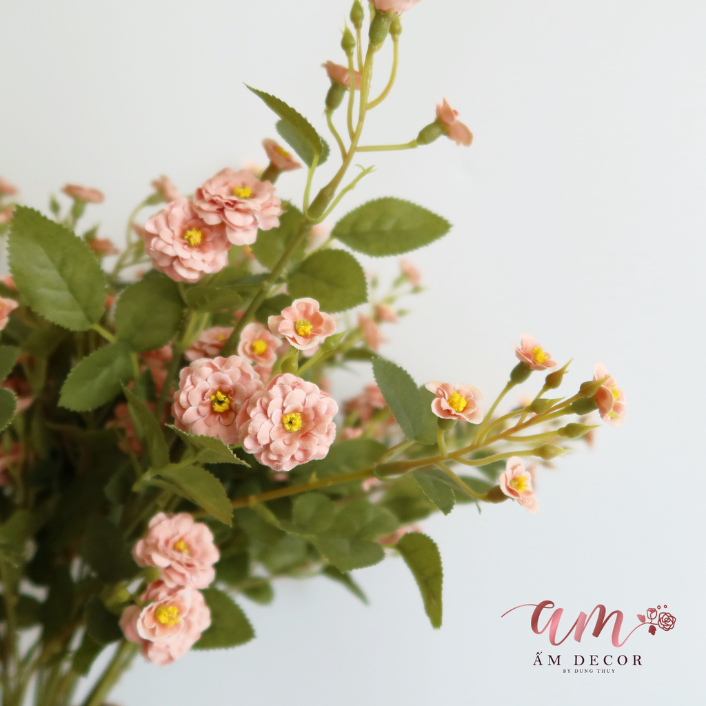 ZHOA NHÀI CÀNH NHỎ HỒNG NHẠT