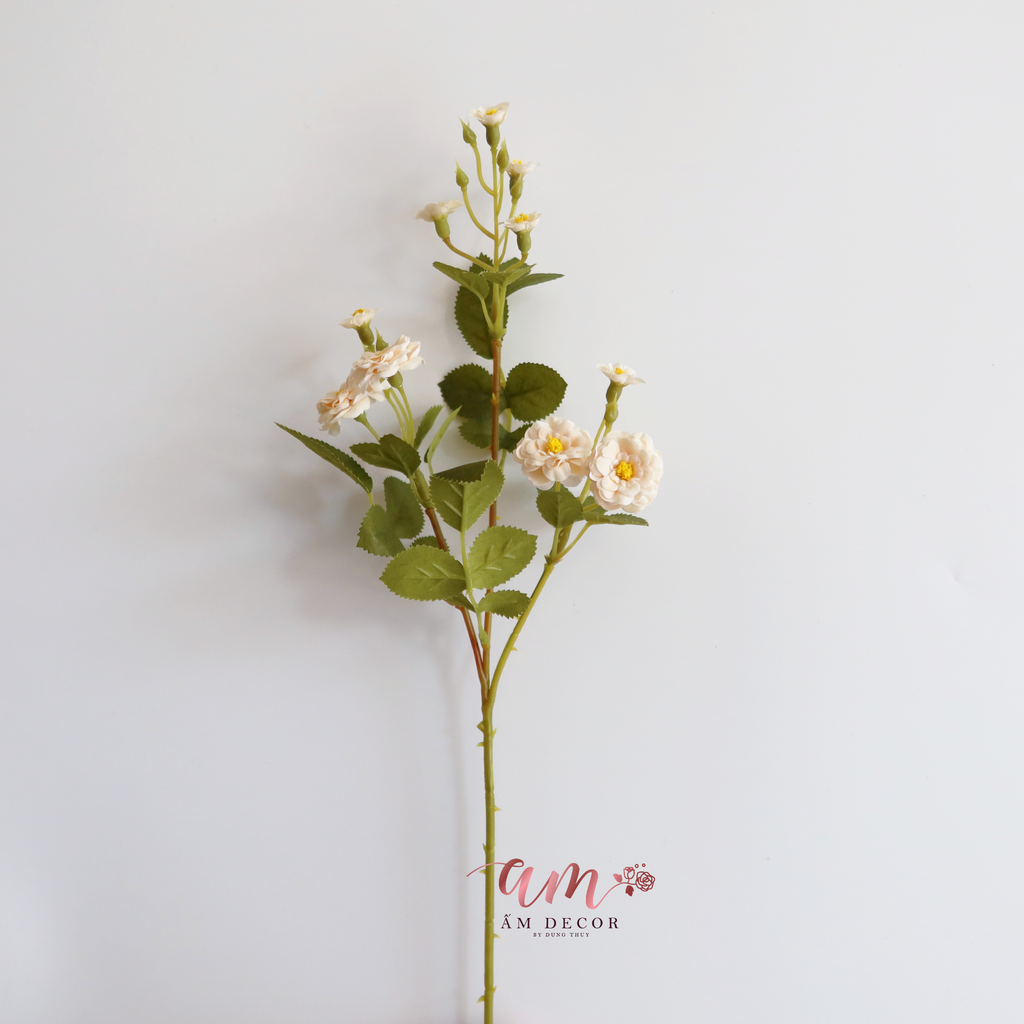 ZHOA NHÀI CÀNH NHỎ KEM