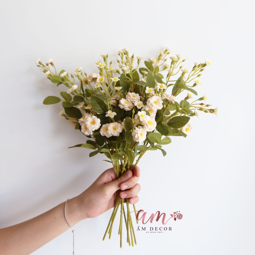 ZHOA NHÀI CÀNH NHỎ KEM