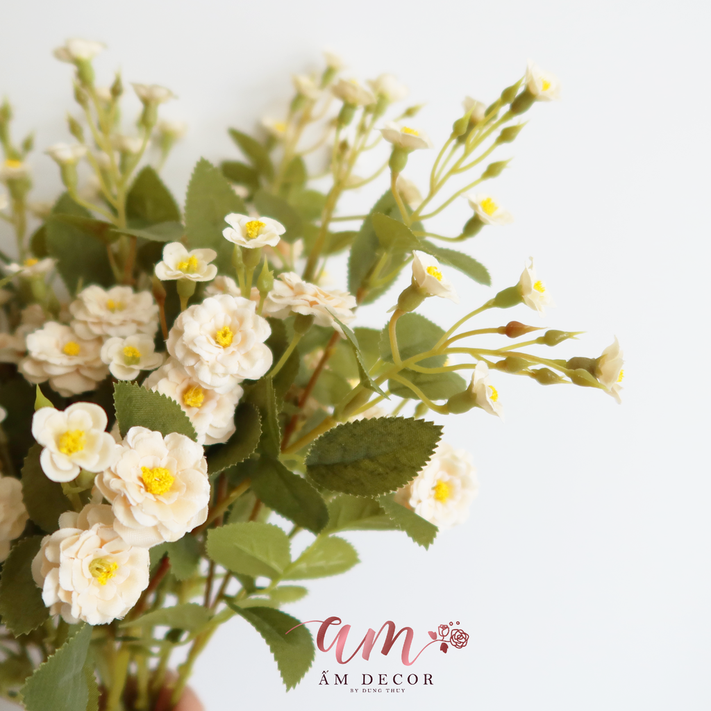 ZHOA NHÀI CÀNH NHỎ KEM