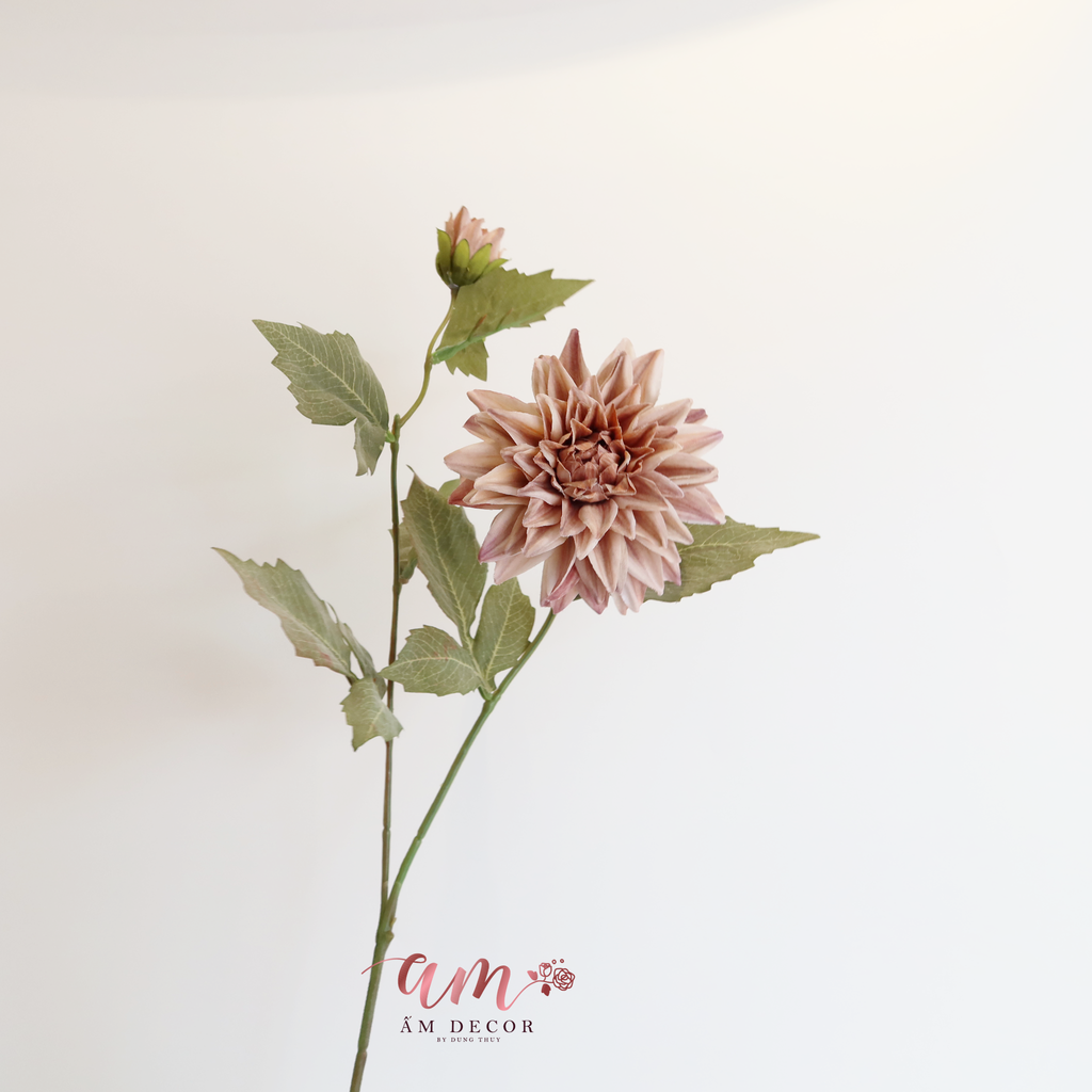 ZHOA THƯỢC DƯỢC RETRO NÂU NHẠT