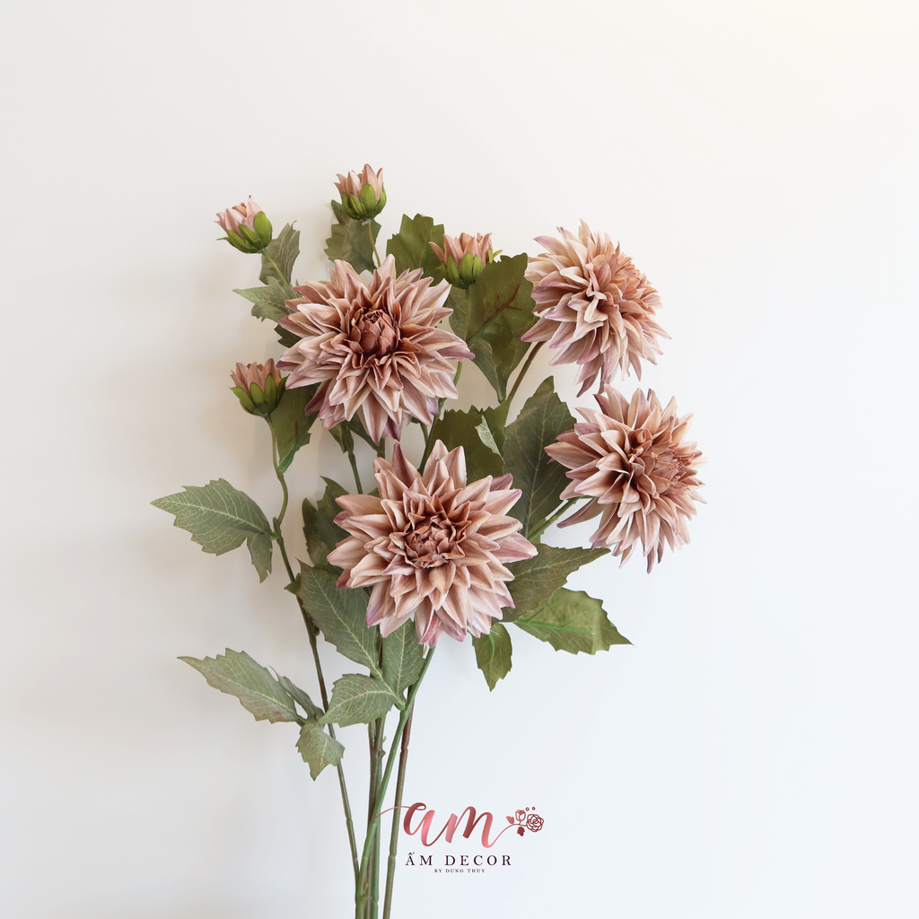 ZHOA THƯỢC DƯỢC RETRO NÂU NHẠT