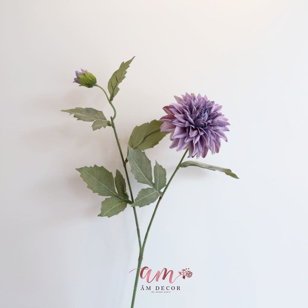 ZHOA THƯỢC DƯỢC RETRO TÍM