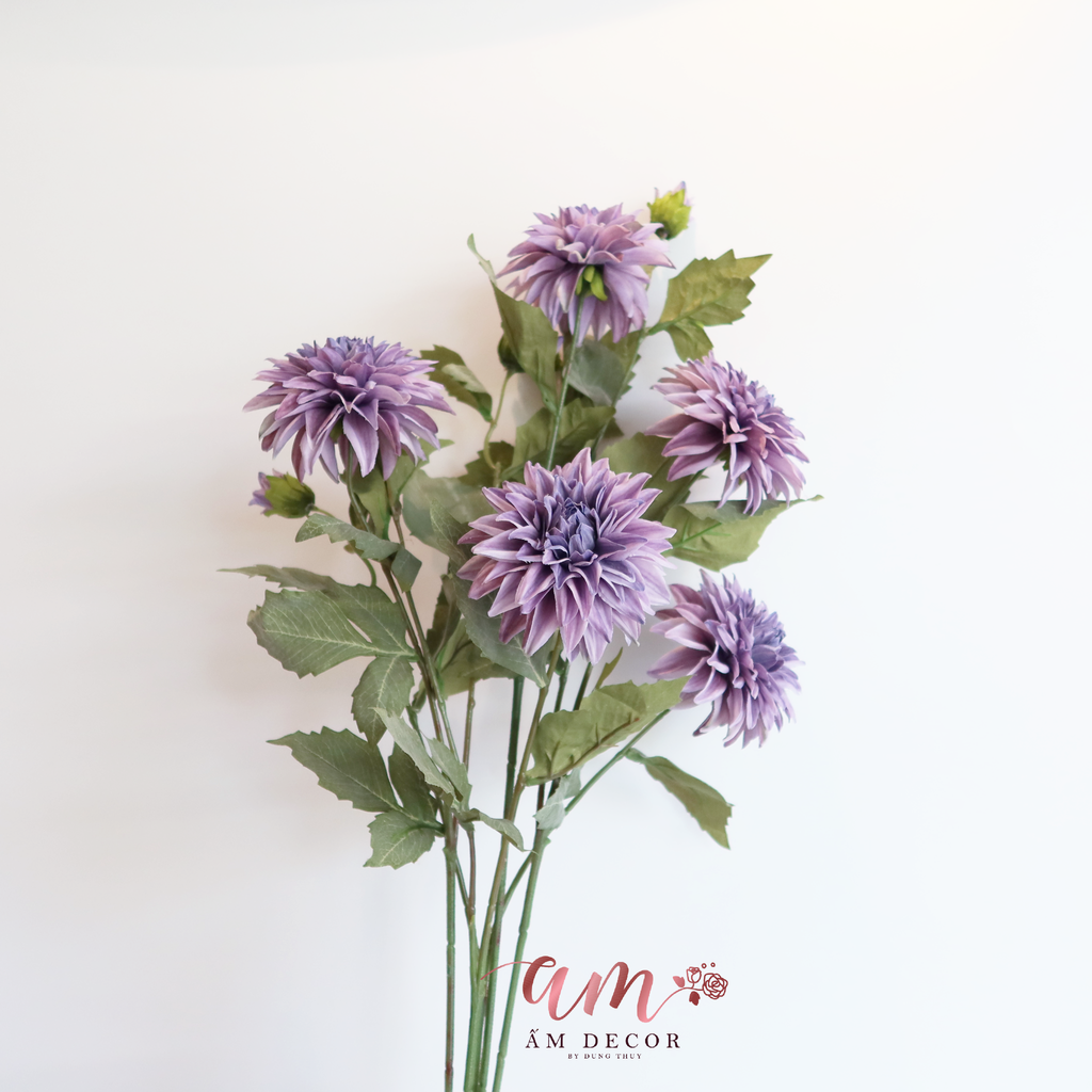 ZHOA THƯỢC DƯỢC RETRO TÍM