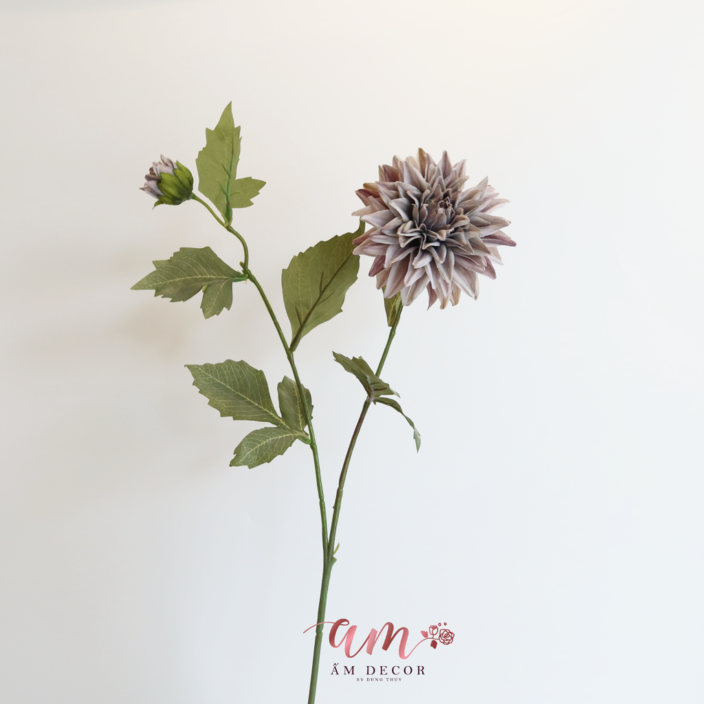 ZHOA THƯỢC DƯỢC RETRO XÁM