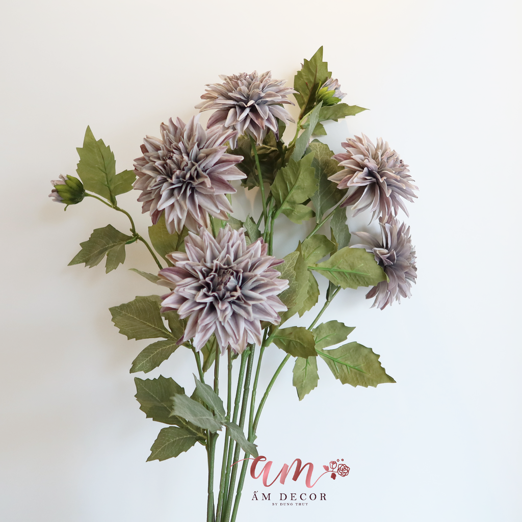 ZHOA THƯỢC DƯỢC RETRO XÁM