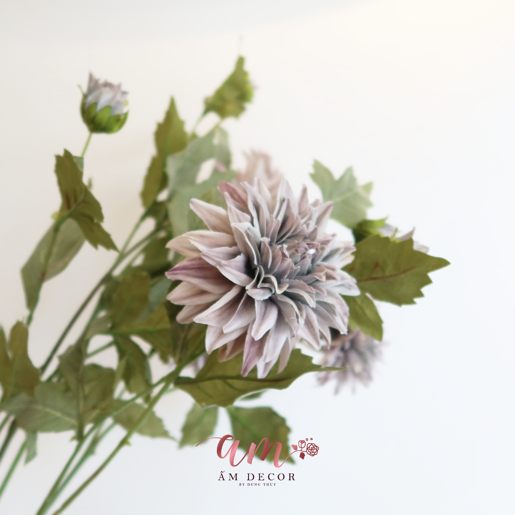 ZHOA THƯỢC DƯỢC RETRO XÁM