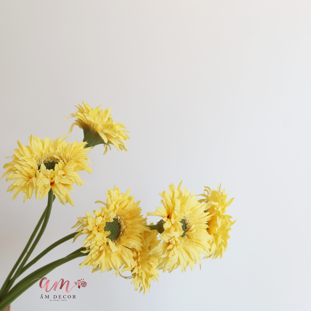 ZĐỒNG TIỀN BÔNG NHỎ VÀNG