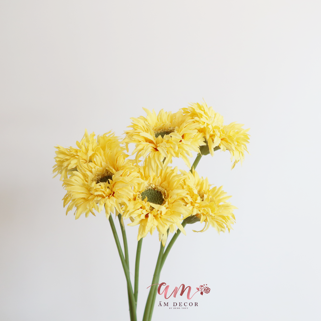 ZĐỒNG TIỀN BÔNG NHỎ VÀNG