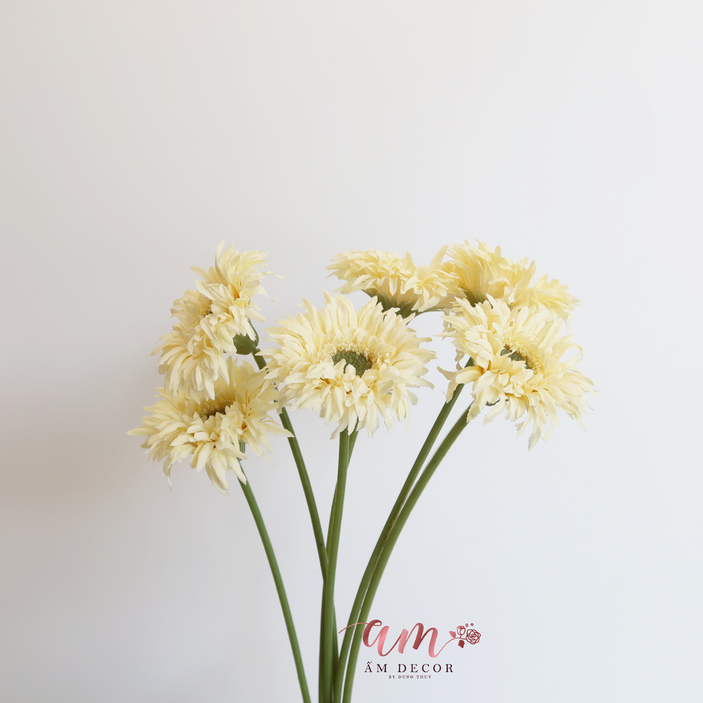 ZĐỒNG TIỀN BÔNG NHỎ VÀNG NHẠT