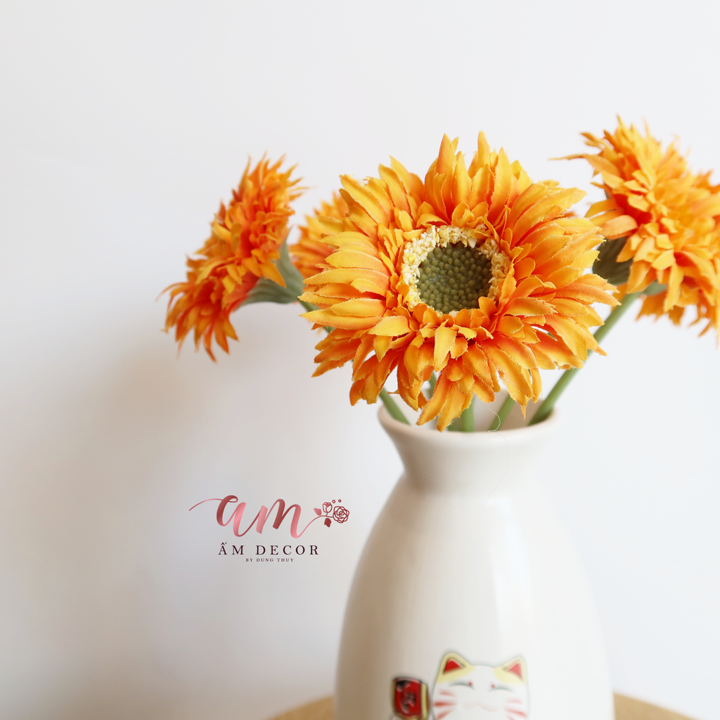 ĐỒNG TIỀN BÔNG NHỎ CAM