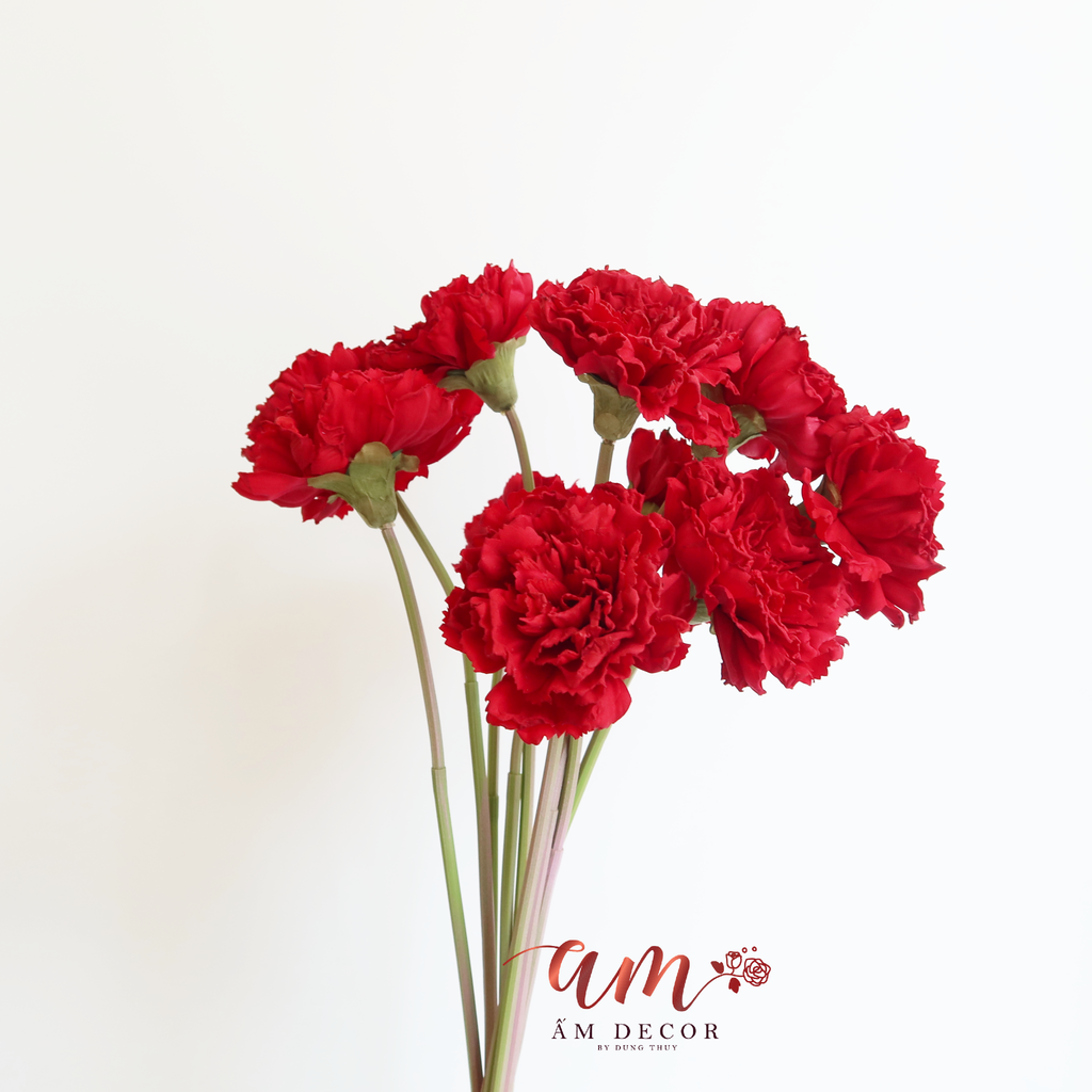 ZCẨM CHƯỚNG LỚN (Đỏ)