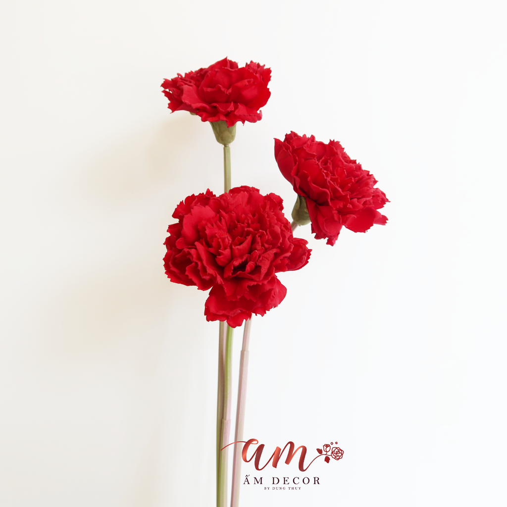 ZCẨM CHƯỚNG LỚN (Đỏ)